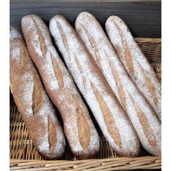 ASSO-Baguette tradition